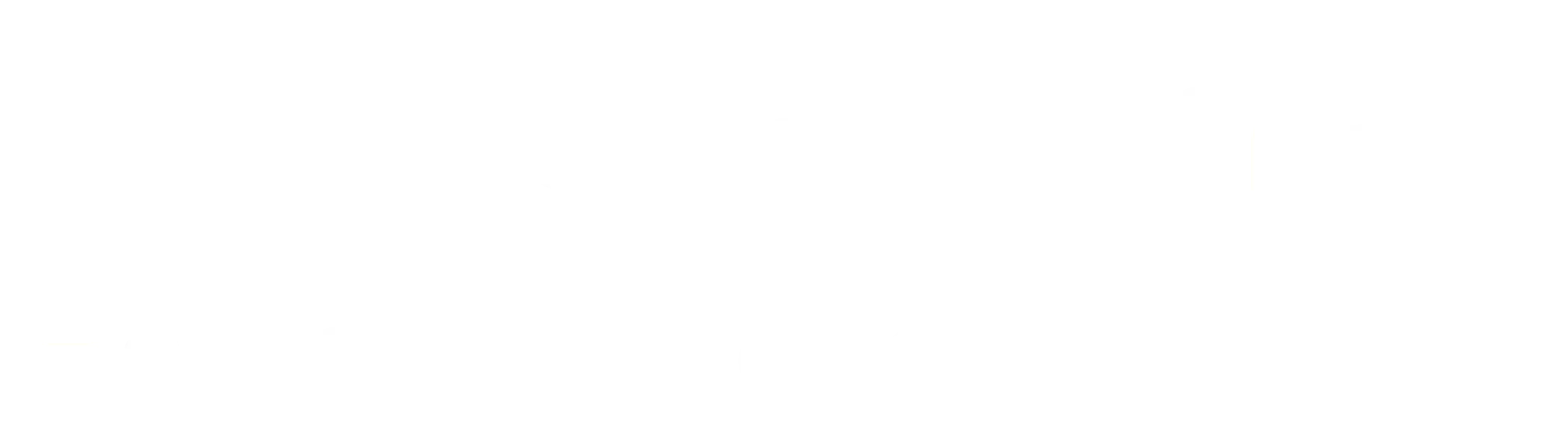 Inspection21 Home Inspection Institute white logo